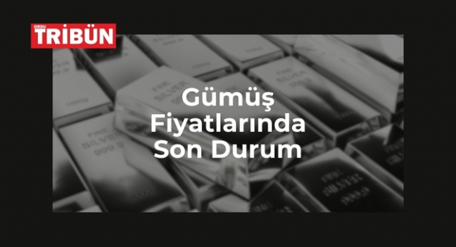 Gümüş Fiyatları