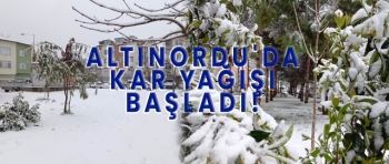 Ordu'da Kar Yağışı