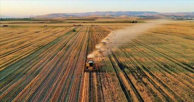 185,8 milyon liralık destekleme ödemesi yapıldı