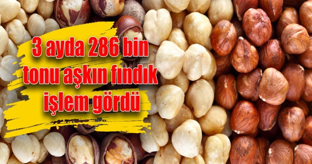 286 bin 826 ton yeni sezon ürünü fındık satıldı