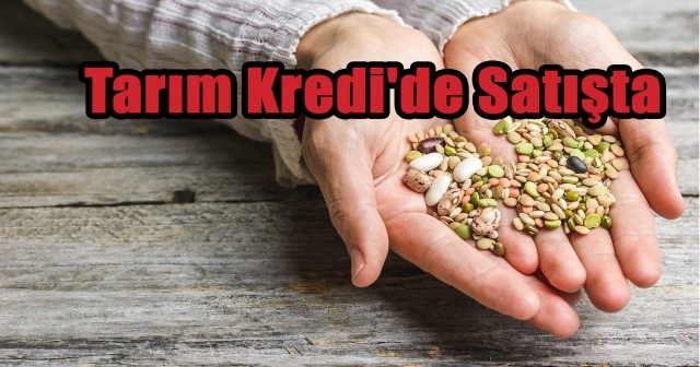 Ata Tohumları Tarım Kredi Marketlerinde