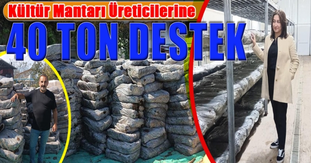 Atıl Durumdaki Mantar Tesisleri İçin Yeni Proje Başlatıldı