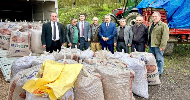 Aybastı'da Sezonun İlk Fındık Alımı Gerçekleşti