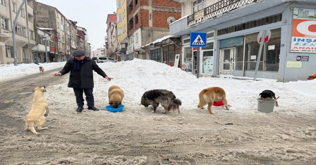 Başkan elleriyle besledi