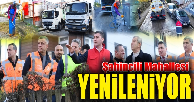 Başkan Tepe Çalışmaları Denetledi