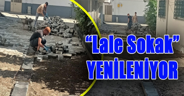 Beton Parke Yol Çalışmaları Başladı