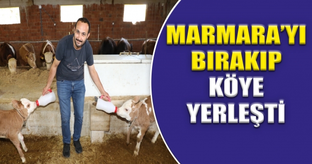 Bursa’dan Ordu’ya Hayvancılık Serüveni