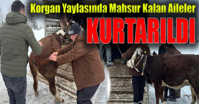 Büyükşehir’den Hızlı Müdahale