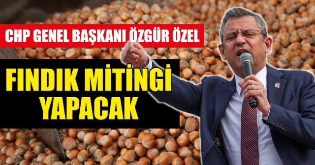 CHP Fındık Mitingi İçin Harekete Geçti