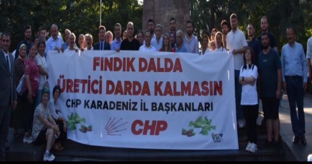 CHP'li Erhan Adem, "Fındığa İyi Bir Taban Fiyat Verileceğini" Umuyor..