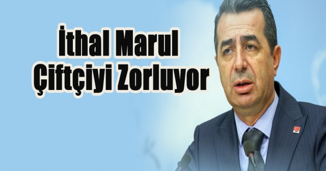 CHP'li Erhan Adem: "Marul İthalatı Çiftçiyi Ezmekte"