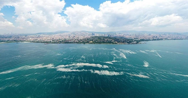 Denizlerdeki Isınma Katil Yosunun Yayılma Riskini Artırıyor