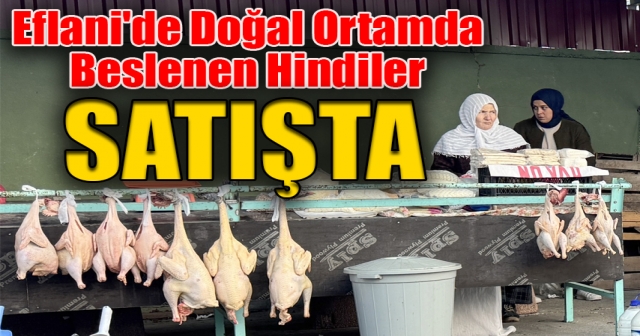 Eflani Hindisi, Kilogramı 550-600 Liradan Satılıyor