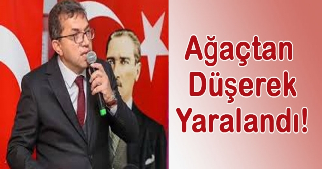 Eğitimci Tuncay Topal Ağaçtan Düştü