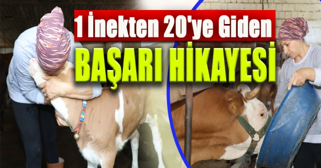 Emine Mutlu’nun Başarı Hikayesi