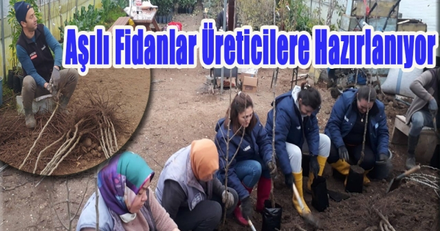 Fatsa’da çiftçiye yönelik örnek çalışma