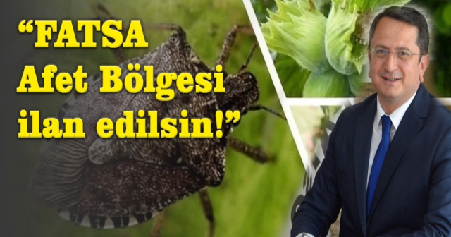 Fatsa Kokarcaya Teslim Oldu!