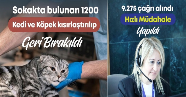 Fatsa'dan Sokak Hayvanlarına Destek