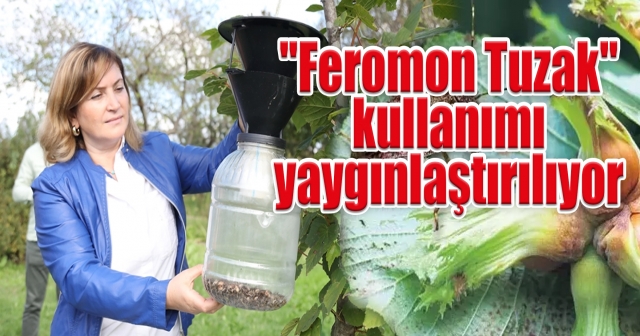 Feromon Tuzaklarıyla Etkili Mücadele