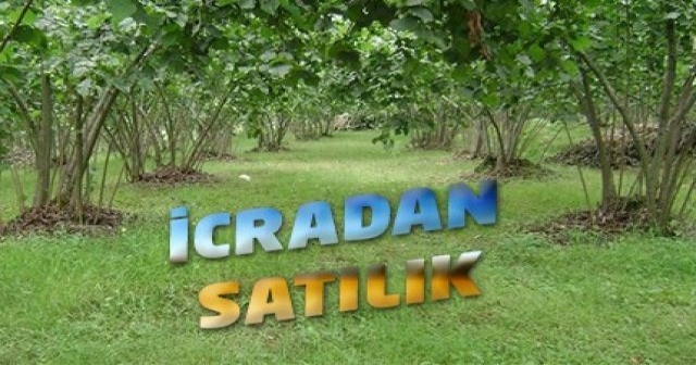 FINDIK BAHÇESİ İCRADAN SATILIK