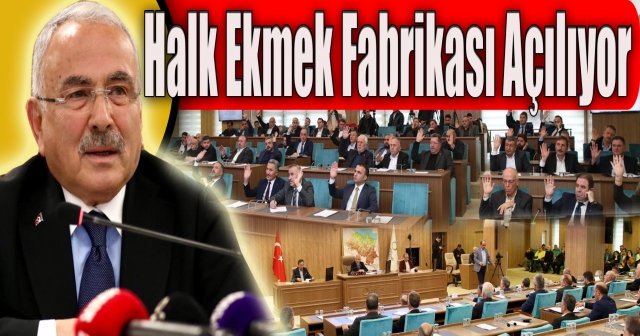 Fındık Kabuğundan Aktif Karbon Üretilecek