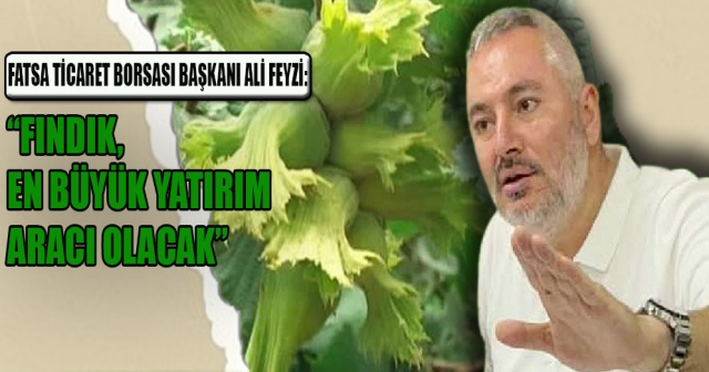 Fındıkta Don Alarmı: Ali Feyzi, Fındığı “Kahverengi Altın” Olarak Tanımladı!