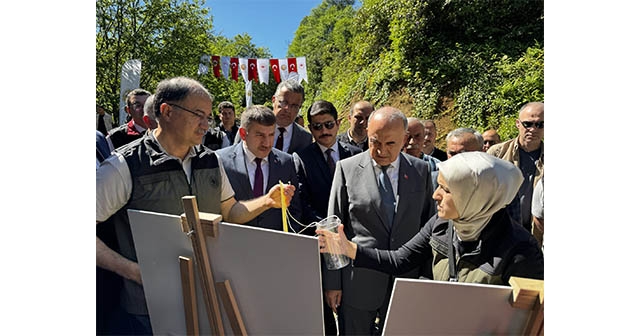 Gal arısıyla mücadele için faydalı böcek salındı