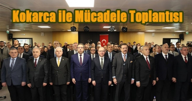 Giresun’da Kokarca İle Mücadele Adımları