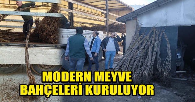 GİRESUN'DA MEYVE YETİŞTİRİCİLİĞİNE BÜYÜK DESTEK