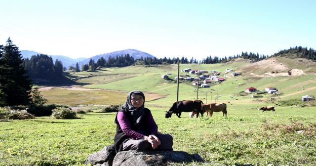 Gölyanı Yaylası ziyaretçilerine huzur veriyor