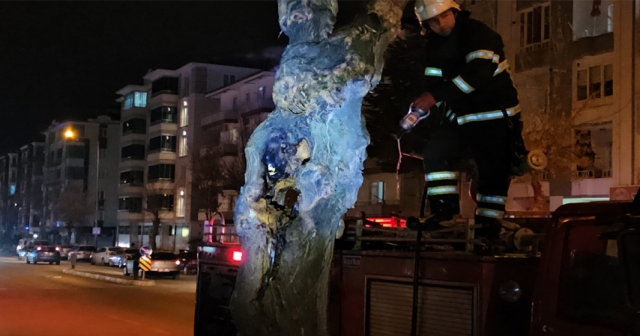 Gövdesi yanmaya başlayan ağaç söndürüldü