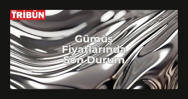 Güncel Gümüş Fiyatları