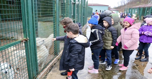 "İyilik timi"ndeki öğrenciler barınaktaki köpekleri besledi