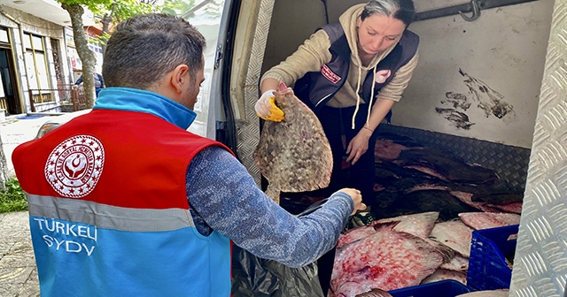 Kaçak yolla avlanan 340 kalkan balığı ele geçirildi