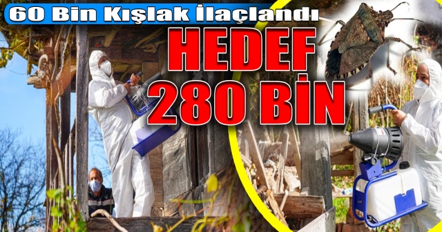 Kahverengi Kokarca ile Mücadelede 60 Bin Kışlak İlaçlandı