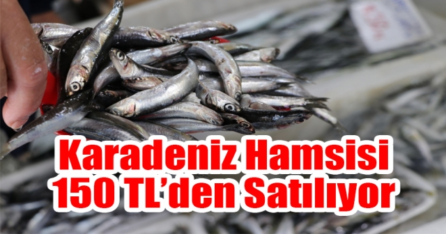 Karadeniz Hamsisi Tezgahları Süsledi