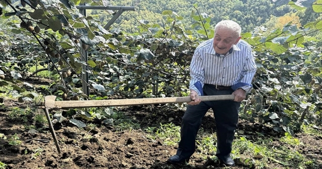 Karadeniz'in ihtiyar delikanlıları topraktan kopamıyorlar