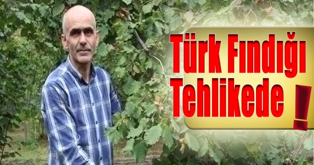 Karan: Fındık İçin Kış İlaçlaması Şart