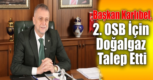 Karlıbel: "Doğalgaz Yatırımı İçin Sorumluluk Üstlenilsin"