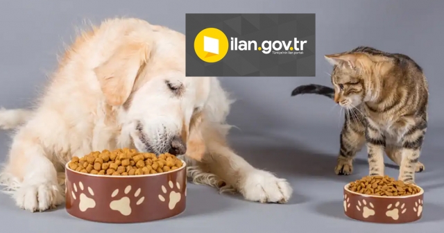 KEDİ VE KÖPEK MAMASI SATIN ALINACAK