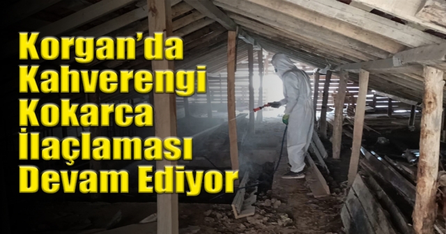 Kışlak İlaçlamaları Devam Ediyor