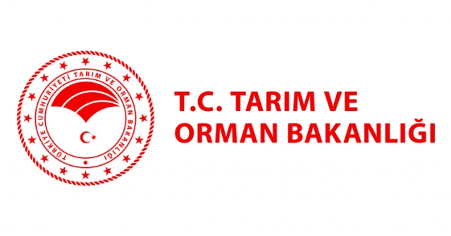 KİVİ BAHÇESİ KURULUMU HİZMETİ ALINACAK