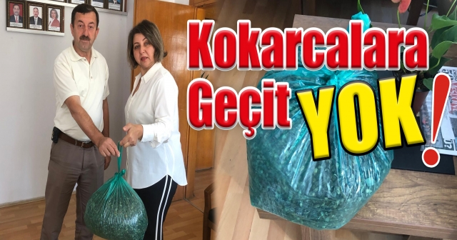 KOKARCA 1.GÜNDEMİMİZ