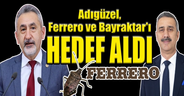 KOKARCA AFETİ ULUSAL FELAKETE ADAYDIR!