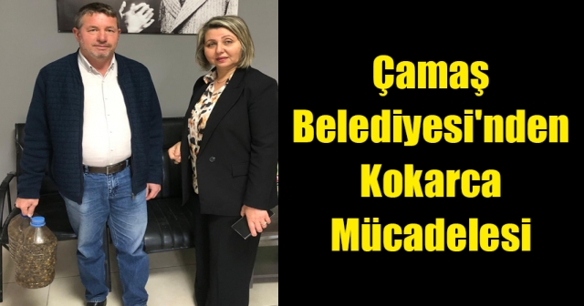 Kokarca ile Mücadele Devam Ediyor