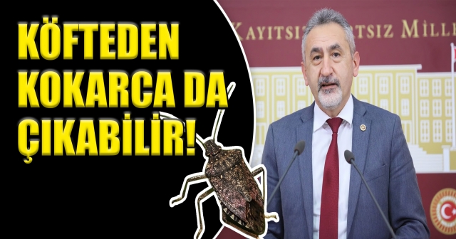 "Kokarca Kış Uykusuna Yattı, Hükümet Hala Uyanmadı"