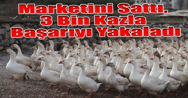 Köye Dönüşün Başarı Hikayesi: 3 Bin Kaz