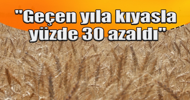 Kuraklık, hububat ekiminde değişikliğe neden oldu