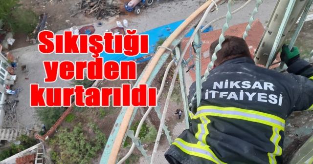 Minareye sıkışan güvercin kurtarıldı