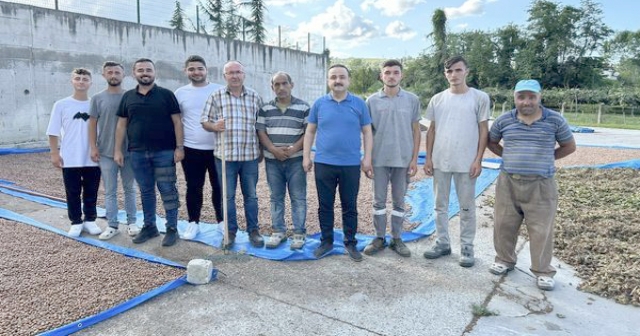 Naci Şanlıtürk'ten Fındık Üreticilerine Uyarı ve Destek